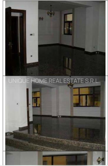 Iancu Nicolae:Vila zona exclusivista,pretabila activitati comerciale - 3