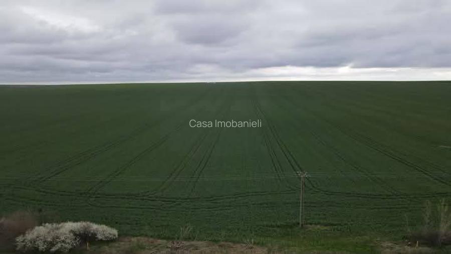 GIARMATA,teren de vanzare,27 ha,front 400 ml,1.900.000 euro - 3