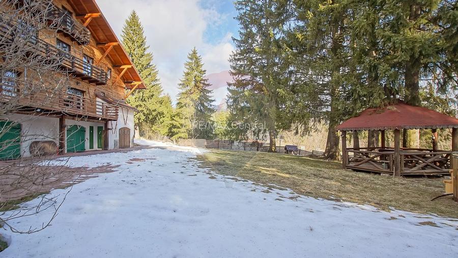 Vilă istorică, proiectată de arhitectul Emil Nădejde în Timișu de Sus - 11