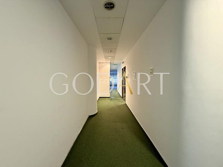 Spațiu de Birouri Premium | Etaj Integral | 455 mp - 7