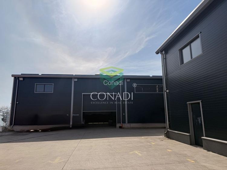 Hale premium cu Spatiu de birouri– zona Oxigenului – Cernica - 2