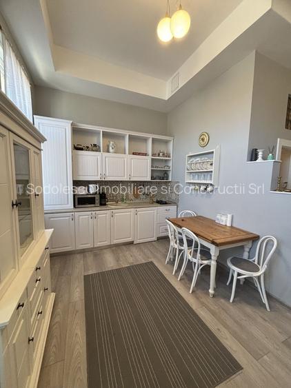 Apartament cu o camera în clădire istorică ,zona Maria - 17