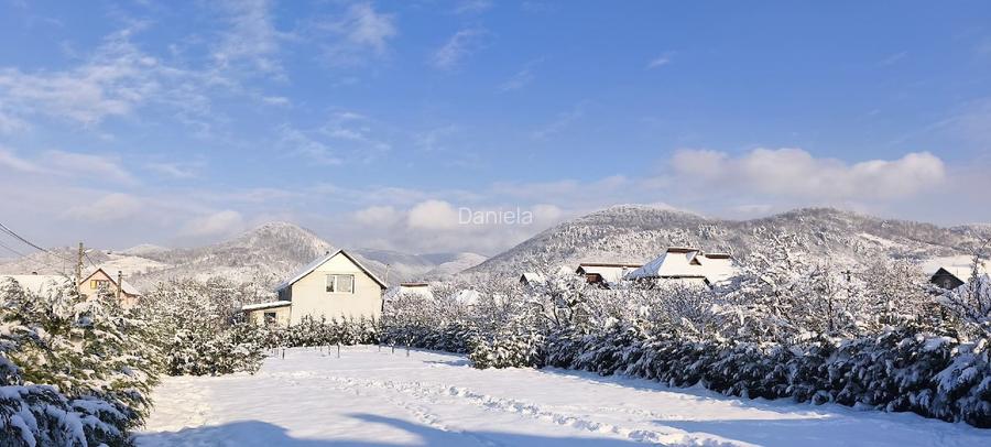 Casă modernă, luminoasă și spațioasă in Seini (MM) - 4