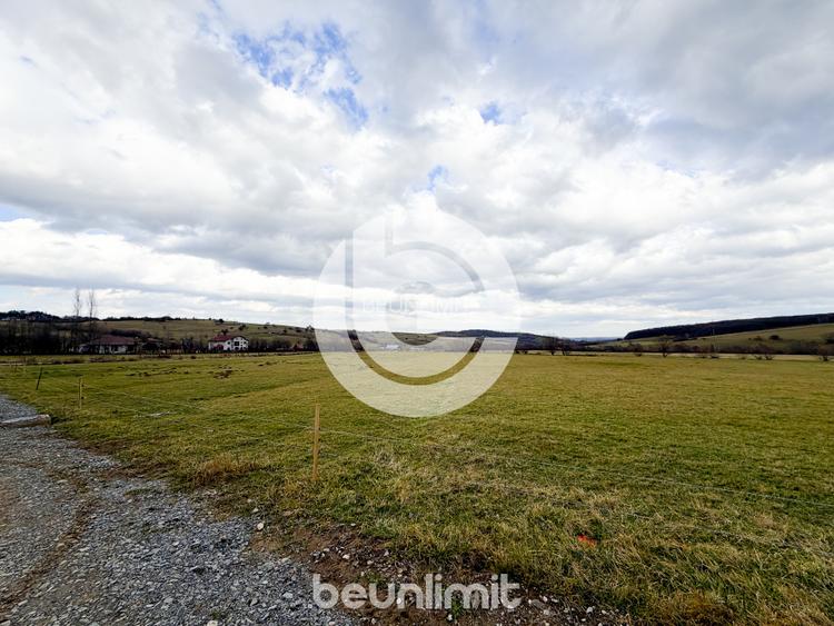 Teren intravilan în Tocile - 39 euro/mp - 4354 m² - 2 fronturi - 21