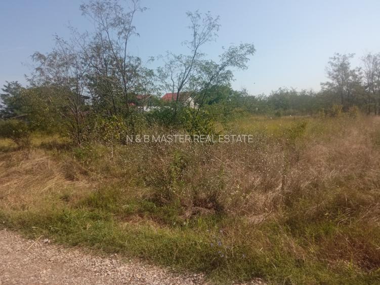 Teren 100Omp, Clinceni, Str Rozelor - 4