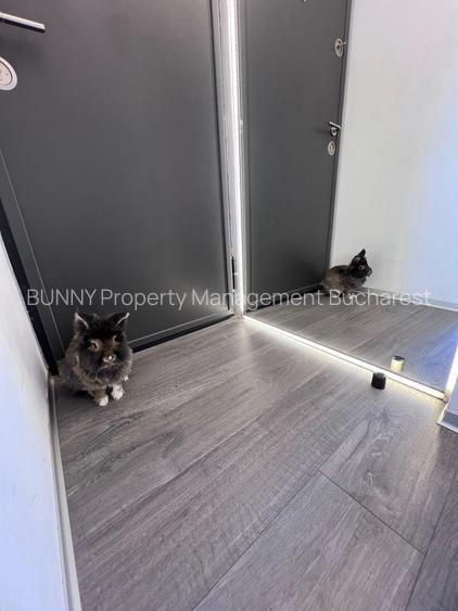 LUX INDUSTRIAL APARTMENT - CREDIT FRIENDLY - AM097-ET3 - 42