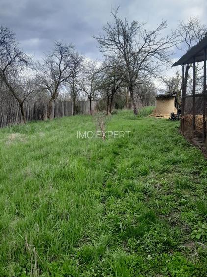 Teren de vanzare in Vaidei - 5