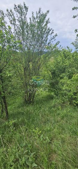 Teren Breaza  800mp pe colina priveliste superba - 21