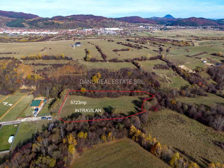 Teren intravilan 5723mp Zarnesti Tohanita- case de vacanta,investitie in turism - 2