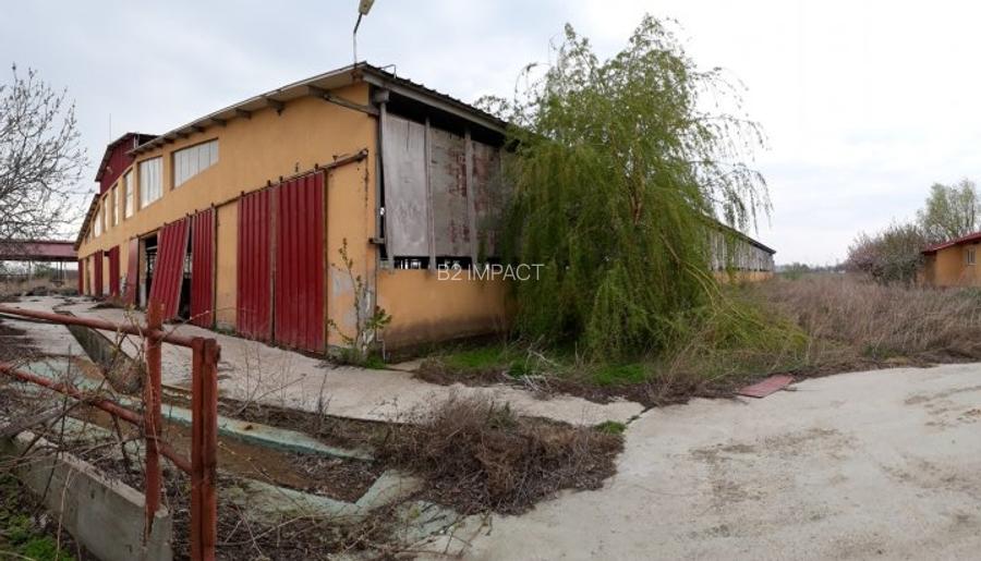 de vanzare Ferma Vaci - 11