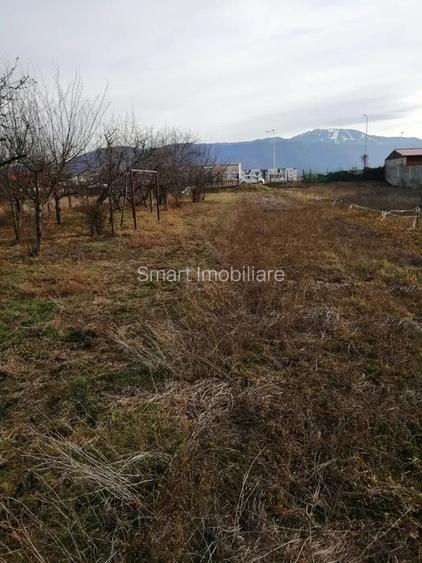 Teren 934 mp Ghimbav - 6