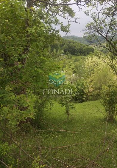 Teren Breaza  800mp pe colina priveliste superba - 10