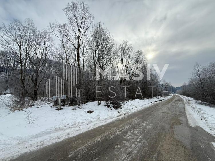 Teren intravilan 6.093 mp – Piatra Arsă, Bușteni, dezvoltare turistică premium! - 7