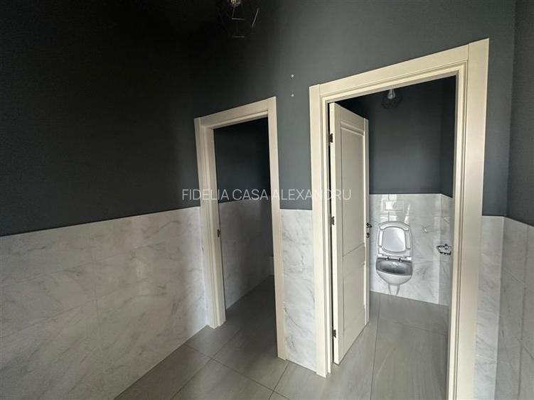 Spatiu comercial 195 mp de inchiriat, Valea Lupului - 18
