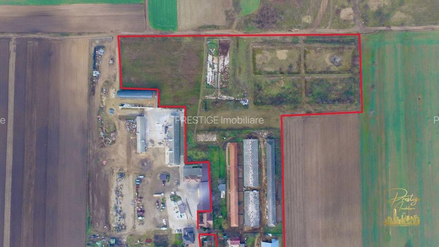 Domeniu - Centru de colectare, 7 ha de vanzare in Valea lui Mihai - 6