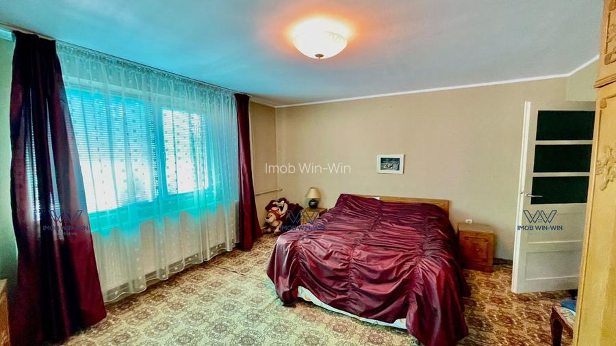 Proprietate Excepțională cu Potențial Dublu în Valea Ursului, Argeș - 10