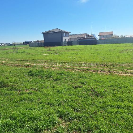 Dragomiresti- Vale, str Nucilor, teren intravilan 2.262mp. - 2