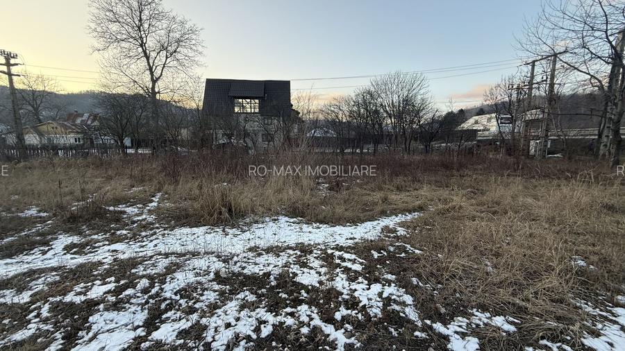 Teren intravilan construcții 10834 mp + construcție- cabană lemn! - 5