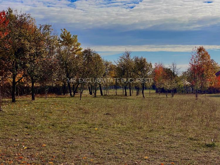 Teren Premium 1559 mp, Brebu Manastirei - Refugiu Montan la 120 km de Bucuresti, - 8