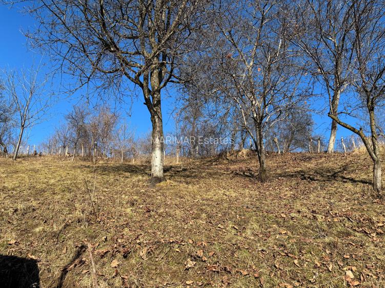 Casa gospodarului, bine întreținută, cu teren generos – Comarnic - 13