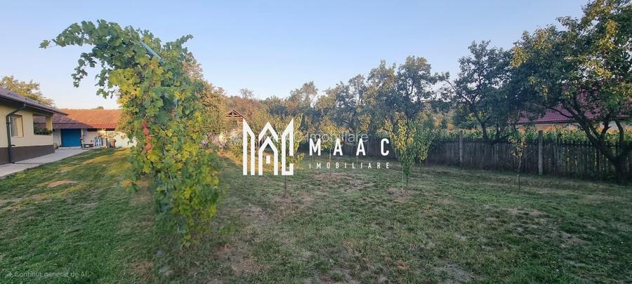 CASA LADESTI-VALCEA| RENOVATA SI MOBILATA| 5000 MP TEREN - 15