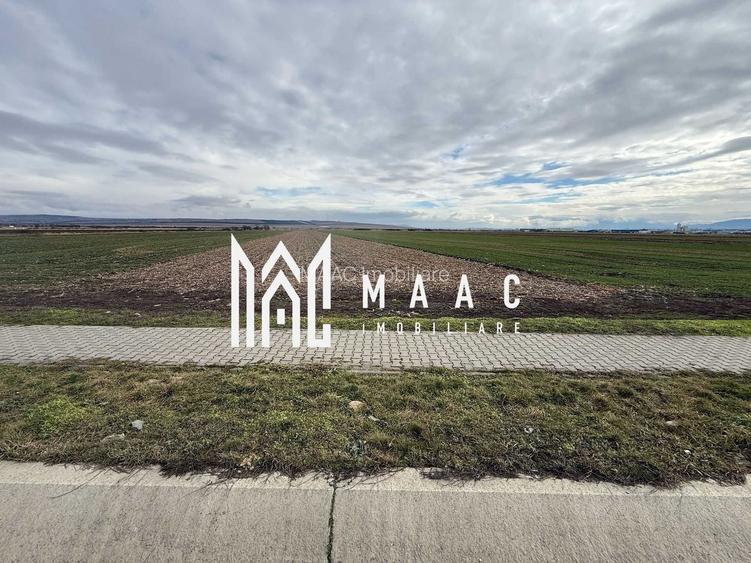 Teren intravilan | 9600 mp | Șură Mică | Utilități | Drum Asfaltat - 2