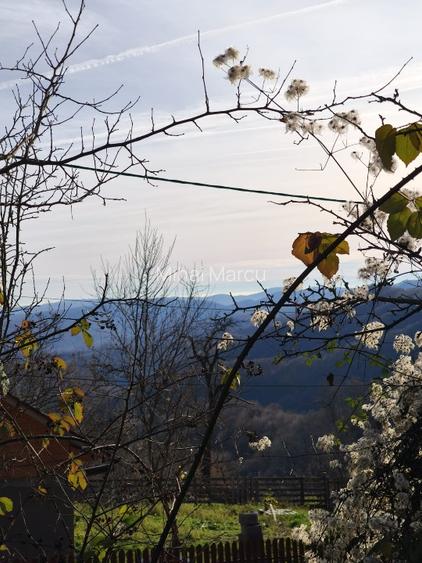 Teren intravilan Breaza 4,000mp utilitati. Panorama superba. Parcelabil - 9