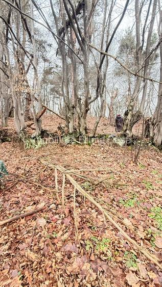 OPORTUNITATE - TEREN PENTRU PARC DISTRACTII!!! - 7