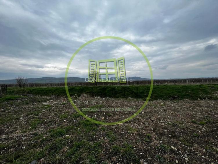 Teren Intravilan 1900mp, Zona D Targul Obor - 5