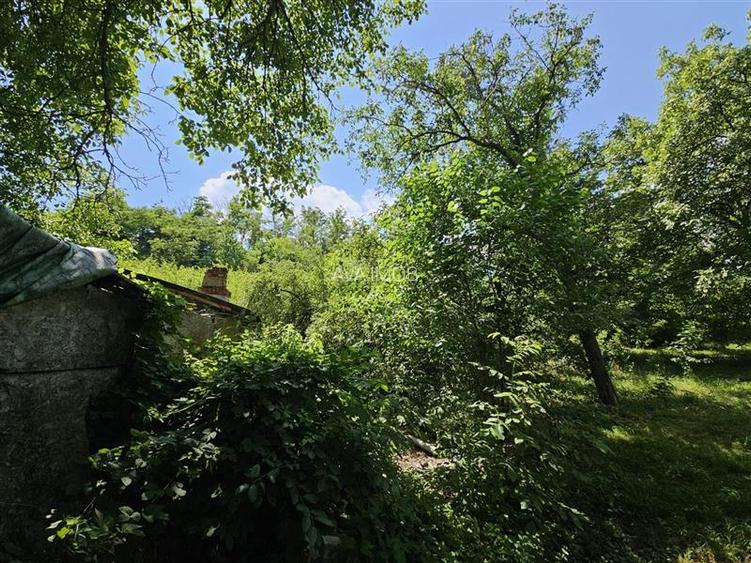 Casa spatioasa de vanzare in centrul satului Racaciuni – teren generos, livada, - 13