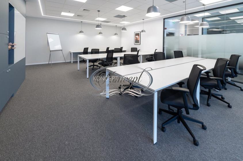 Spatii de birouri moderne in zona Iulius Mall - 11