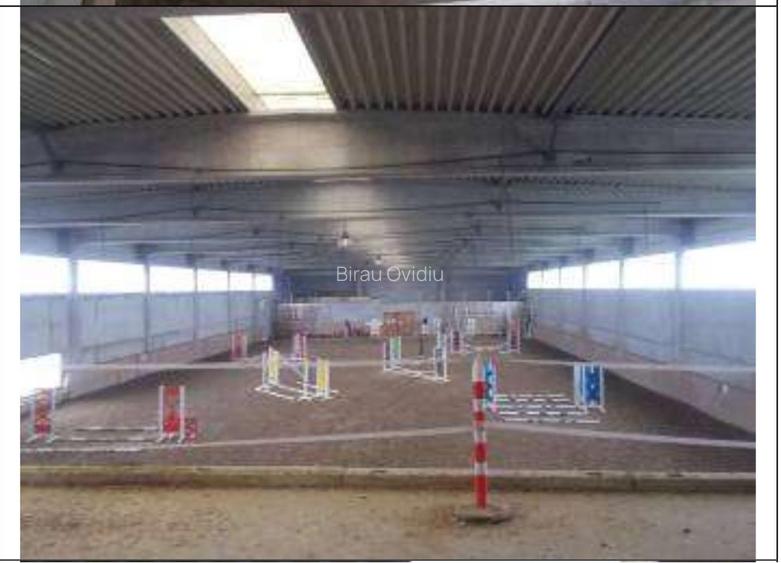 HUB Logistic intermodal 9,1 ha acces direct la DN 59/E70 JEBEL ,Timis - 10