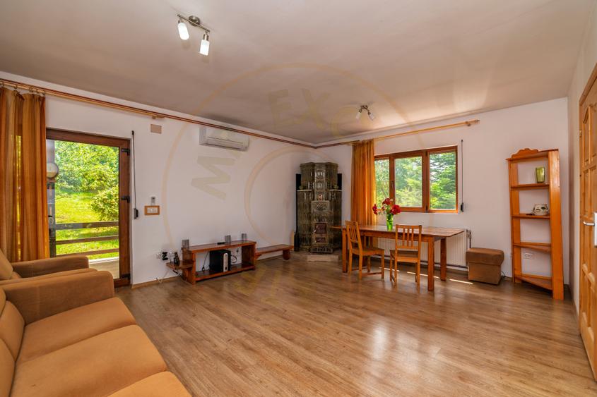 Casa moderna si casa bunicii + 6300 mp teren, Oaza autentica in Corbi Arges