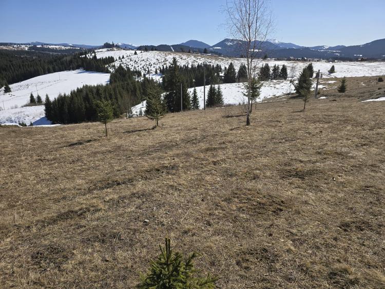 Teren intravilan 1500 mp – Zonă deosebită, Piatra Fântânele