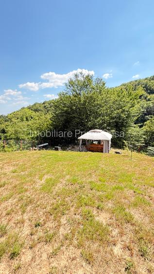Valea Rosie, teren intravilan 3434mp, langa padure. - 8