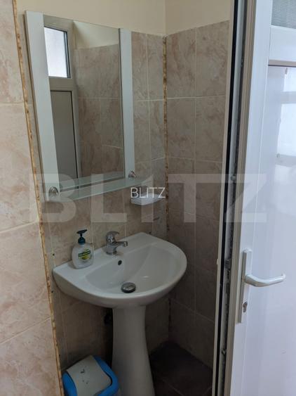 Teren 5.800 mp cu utilitati si constructii existente–Oportunitate de investitie! - 17