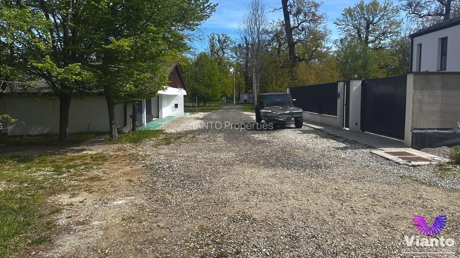 TEREN INTRAVILAN  PREMIUM 617MP | PADUREA DUMBRAVA - 2