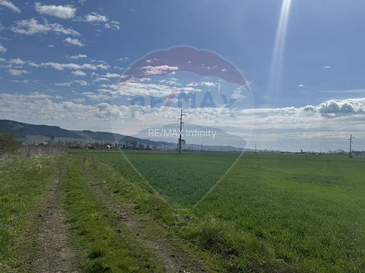 Teren cu potential industrial Luna de Jos, Dabaca - 9