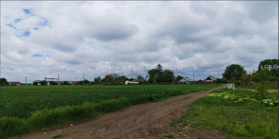 Teren intravilan 10.000 mp | PUZ aprobat 17 loturi | Gagu – Dascălu | 8km DNCB - 5