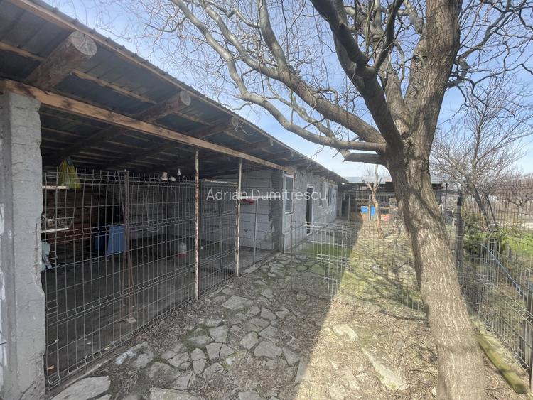 Mitreni-Valea Rosie-Acasa la Tara -4 camere-178 mp-LOT  1000 mp+Casa secundara - 48