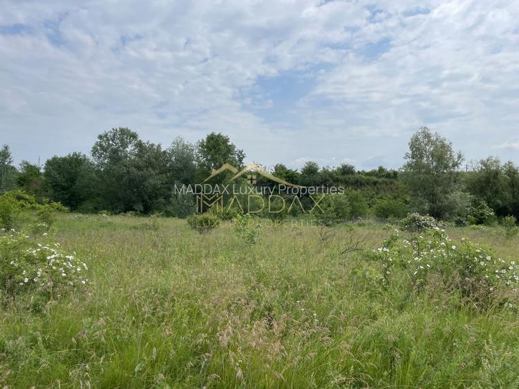 Teren intravilan***1439 mp***Cretesti-Vidra-Ilfov - 13