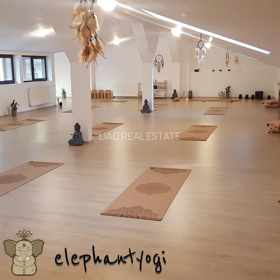 Studio sau birouri mansarda Universitate - strada Sfintilor 6 - 15