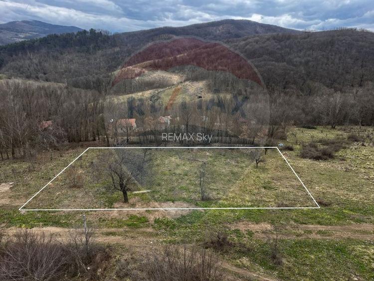 Teren intravilan 12.458 mp în Văleni (Meteș) - 5