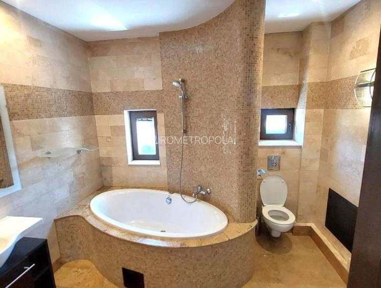 Apartament 5 camere Kiseleff - 9