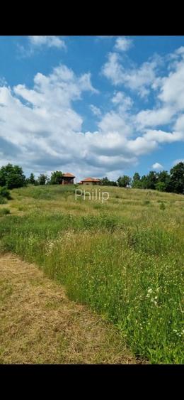 Casa traditionala intr-o zona de vis pe langa Curtea de Arges  - 6