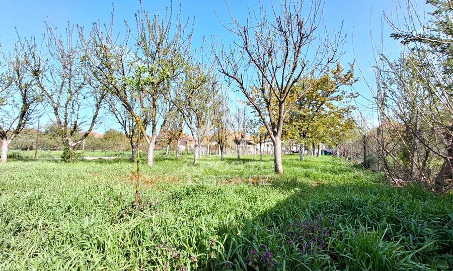 Casa de vanzare in Ineu formata din 2 cladiri - 42