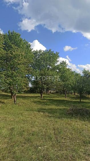 Tren si casa de vacanta in Panticeu - 4