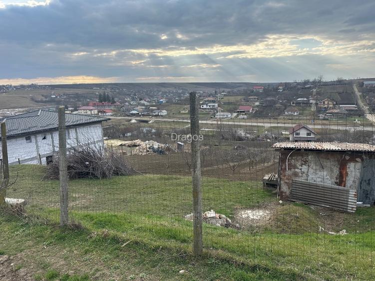 Teren intravilan 1724mp - 3