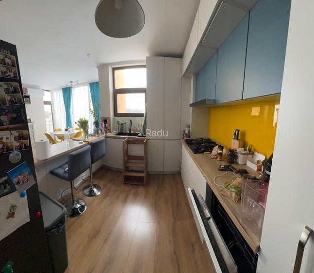 IANCU NICOLAE, mobilat, utilat, loc parcare subteran, boxa, proprietar - 4