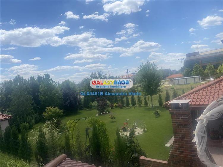 Vila  individuala cu garaj,Curtea Domneasca -Domnesti - 3